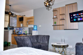 Grey studio with free parking and wifi